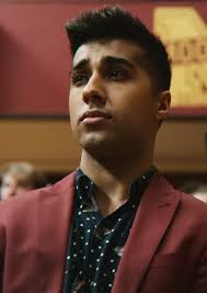 Madhuri Dixit Fan Casting