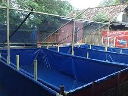 Kelebihan Dan Kekurangan Budidaya Lele Kolam Terpal