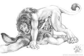 Wolf and Lion [MM] (Blotch) : ryiff