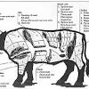 La carne de vacuno, carne de res o carne de buey es la carne obtenida del ganado vacuno o bovino (bos taurus). Https Encrypted Tbn0 Gstatic Com Images Q Tbn And9gcsz70tpxejdr Cv4ruzk5q6vy8ffairnkemm5rhcuybixiwzqwp Usqp Cau