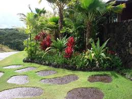 Common Plants Used In Hawaii Landscape Design Landscaping Hawaii Hawaii Landscaping Serv Tropical Landscaping Landscaping With Rocks Tropical Garden Design