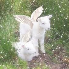 On Instagram Goth Gothgirl Aesthetic Vintage Vintageaesthetic 90s Softaesthetic Pinkaes Nature Aesthetic Aesthetic Art Animals