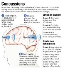 Concussions Im A Grade 2 Traumatic Brain Injury Brain