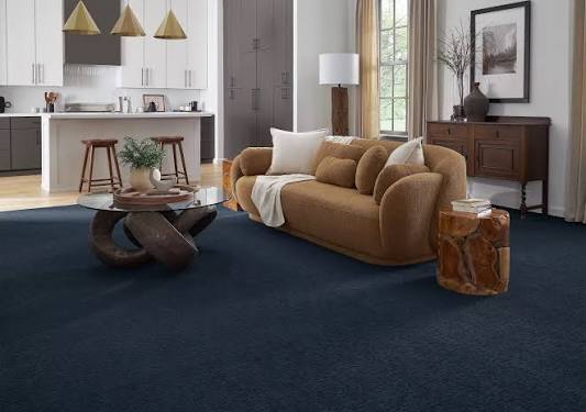 Carpet Flooring photo 5