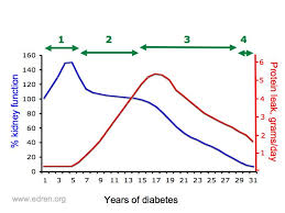 Tb kidney diabetes with renal manifestations gouty nephropathy hypertensive renal disease atherosclerotic vascular disease may also affect the renal arteries, causing progressive impairment. Diabetic Kidney Disease Edren Org