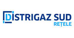 Compania a fost creată în anul 2000, când guvernul româniei a hotărât restructurarea romgaz, din restructurare rezultând și compania distrigaz sud. Deranjamente Entrex