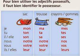 Check spelling or type a new query. Billedresultat For Les Adjectifs Possessifs Bienen