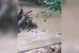 Полован намештај ужице пожега ариље : U Lalincima Nevreme Odnelo Put Bujica Nosila Sve Pred Sobom Pricinjena Ogromna Steta Foto