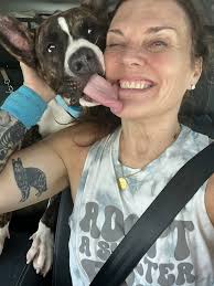 Volunteer dog walkers needed at the shelter