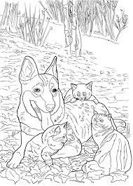 Pin On Coloring