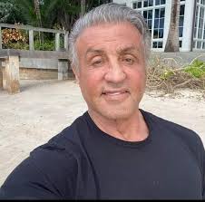 não é possível que é só eu que acho o Sylvester Stallone parecido com a Elisa  Sanches