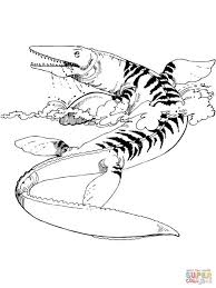 Color pictures, email pictures, and more with these summer coloring pages. Mosasaurus Dinosaur Coloring Pages Dinosaur Coloring Pages Dinosaur Coloring Animal Coloring Pages