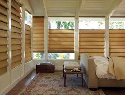 Top Down Bottom Up Vignette Love The Versatility Blinds Blinds Design Living Room Blinds
