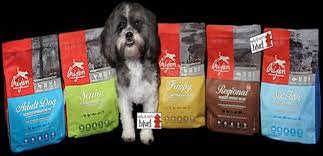 en iyi 8 kopek mamasi sevimli dostunuz cok sevecek buldumz