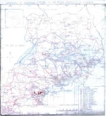 Image result for Eulophia stachyodes