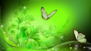 79,000+ vectors, stock photos & psd files. Hd Wallpaper Green Floral Fantasy White And Brown Butterflies With Green Background Wallpaper Wallpaper Flare