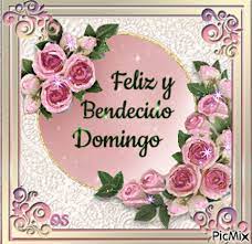 In #spanish • 3 years ago. Bendecido Domingo Picmix