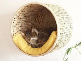 Pin Di Hannah Reid Su Sultan Nel 2020 Cuccia Per Cani Gatto Fai Da Te Cane Fai Da Te