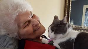 Arlene Harding Obituary March 15, 2017