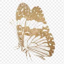 Glittery Vintage Gold Butterfly Png Sticker Premium Image By Rawpixel Com Hein Gold Butterfly Vintage Gold Png