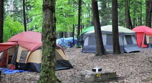 Fish present in lake george include lake trout, landlocked salmon, rainbow trout, smallmouth bass, largemouth bass, northern pike, and a variety of pan fish. Adirondacks Catskills Campgrounds Day Areas To Open For Those With Reservations