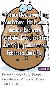 Around in her room,wont run out anytime soon. A Potato Flew Around My Room Lyrics Gif Love Lyrics Mtv Frank Ocean Vma Vmas Thinkin Bout You A Potato Flew Around My Room Before You Came Excuse The Nakatarina