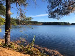 Kathy Post (@post_kathy) • Instagram photos and videos