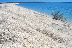 As western australia is so huge, the coastal terrain and. Shell Beach Western Australia Wikipedia