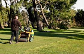 Rasen aerifizieren schritt für schritt mit anleitung: Rasen Walzen Meinhausshop Magazin