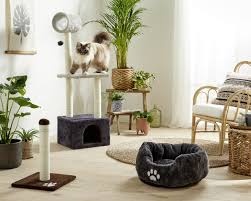 epingle par bricomarche france sur mes animaux chien chat animaux de compagnie chien