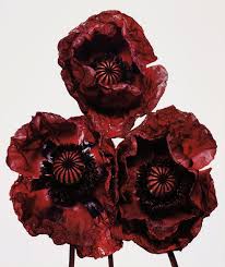 Image result for Poppy Red 1995 AAV