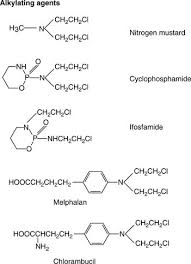 Image result for Alkylating Agent