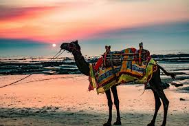 Travel guide to visiting alibaug beach near mumbai. Alibaug Places To Visit Times Of India Travel