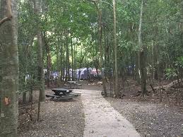 Maybe you would like to learn more about one of these? Letter To The Editor Cinnamon Bay Campground Bare Sites St John Tradewinds News