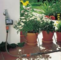 We did not find results for: Choisir Son Systeme D Arrosage De Vacances Pour Ses Plantes D Interieur Gamm Vert