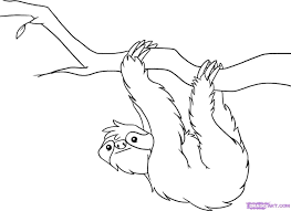Lovecoloring Com Rainforest Animals Animal Coloring Pages Sloth Art