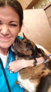 What A Relief Veterinary Services, PLLC