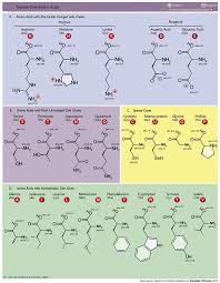 Synthesis Of Gold Nanoparticles Using Amino Acids By Light