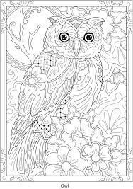 Print free coloring pages activities for kids. Owl Coloring Pages For Adults