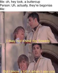 We did not find results for: Flowers Meme
