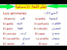 تعلم اللغة الاسبانية للمبتدئين اسماء الحيوانات Los Animales Youtube