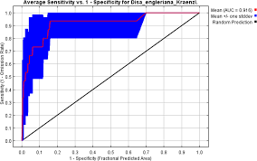 Image result for Satyrium amblyosaccos