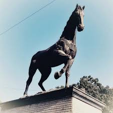 The handsome Horse of Kala Ghoda also ...