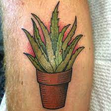 It is obtained from organic inner fillets of fresh aloe vera leaves and then processed to remove the pulp and fiber. Pin On Body Art