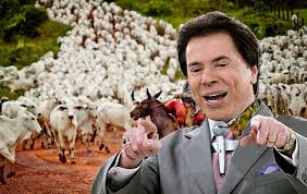 Maybe you would like to learn more about one of these? Silvio Santos Com Rebanho De 10 Mil Bovinos E 70 Mil Ha Compre Rural