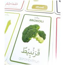 Kamus sayur sayuran dalam bahasa arab. Flash Card Huruf Angka Hijaiyah Hewan Buah Sayur Flashcard Shopee Indonesia