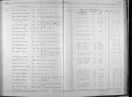 Image result for Aspidoglossum interruptum