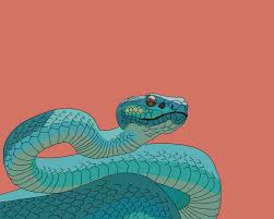 Snake Digital Download Digital Illustration Animal Art Blue Etsy In 2021 Snake Drawing Unusual Art Snake Art