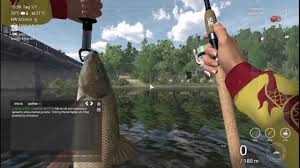 Fishing planet christmas tree decorations. Fishing Planet German Lake Trophy Mirror Leather Grass Carp Guide By Kpshamino