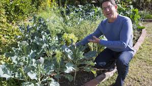 We did not find results for: Urban Farm Nursery In Phoenix Puts Fruit Tree Education Program Online